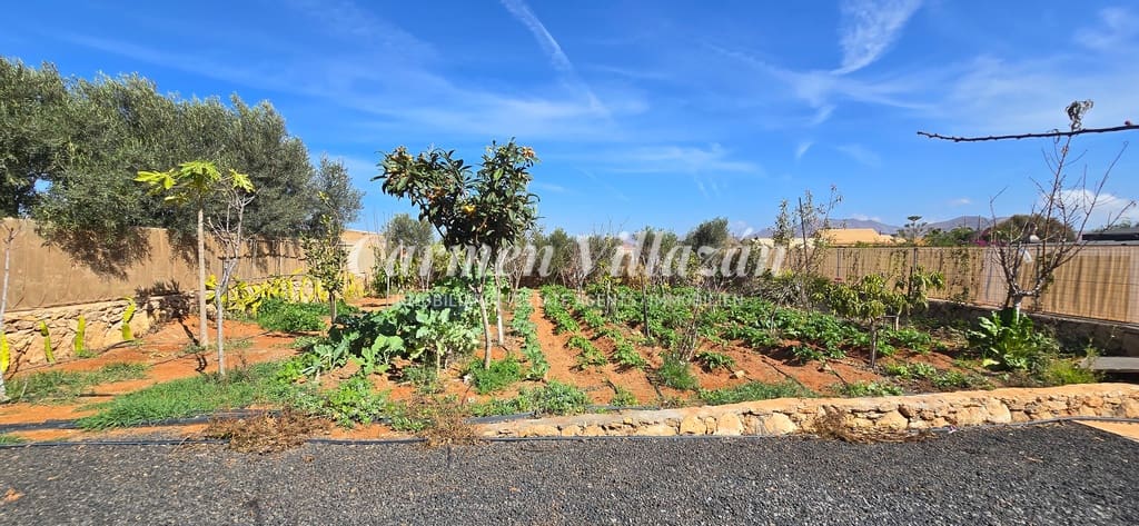 3 sovrum Villa till salu i Llanos de la Concepcion - 650 000 € (Ref: 8796219)