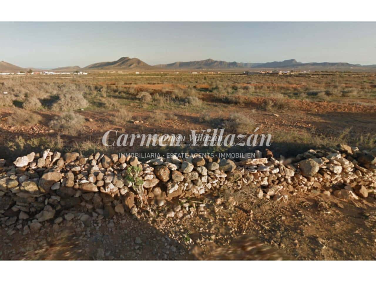 Undeveloped Land for sale in Triquivijate - € 80,000 (Ref: 9480611)