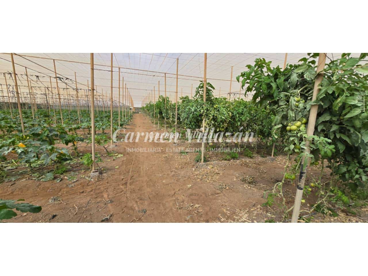 Grond te koop in Tesejerague - € 210.000 (Ref: 9563933)