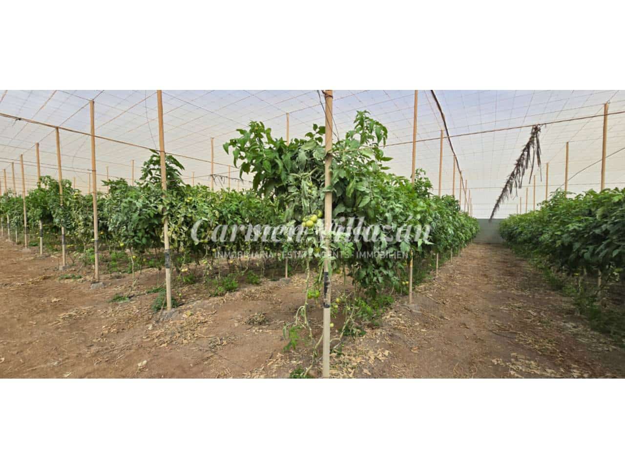 Grond te koop in Tesejerague - € 210.000 (Ref: 9563933)