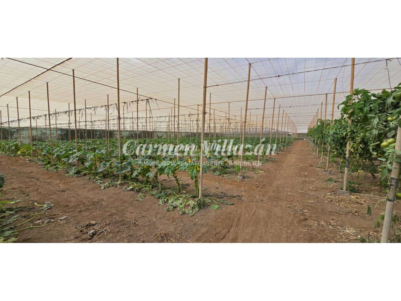 Grond te koop in Tesejerague - € 210.000 (Ref: 9563933)