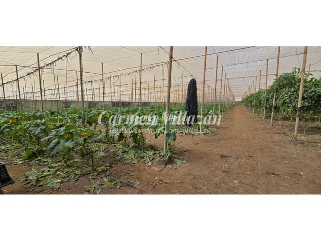 Grond te koop in Tesejerague, Tuineje - € 210.000 (Ref: 9563933)