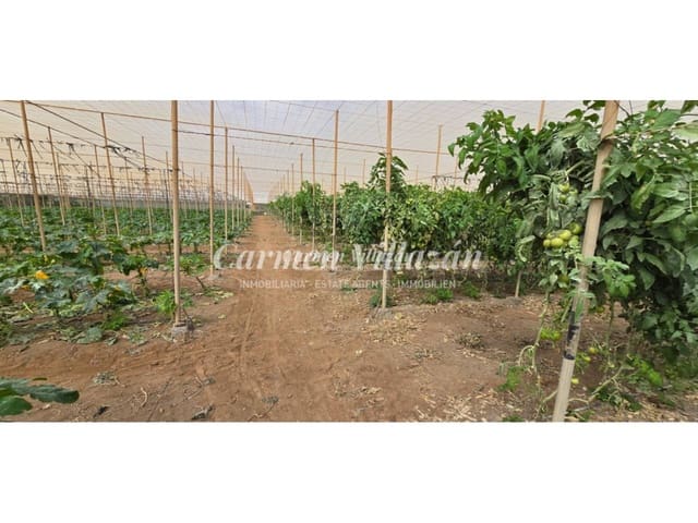 Grond te koop in Tesejerague, Tuineje - € 210.000 (Ref: 9563933)