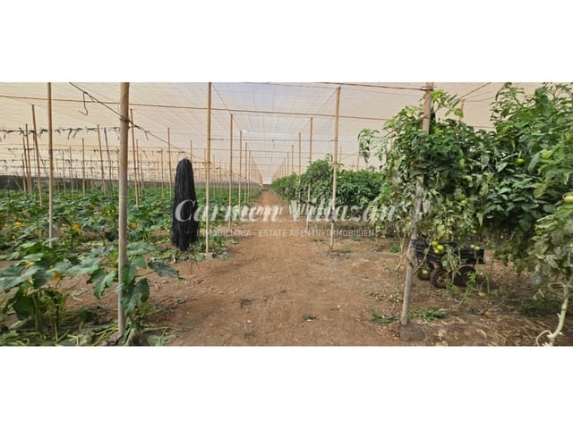 Grond te koop in Tesejerague, Tuineje - € 210.000 (Ref: 9563933)