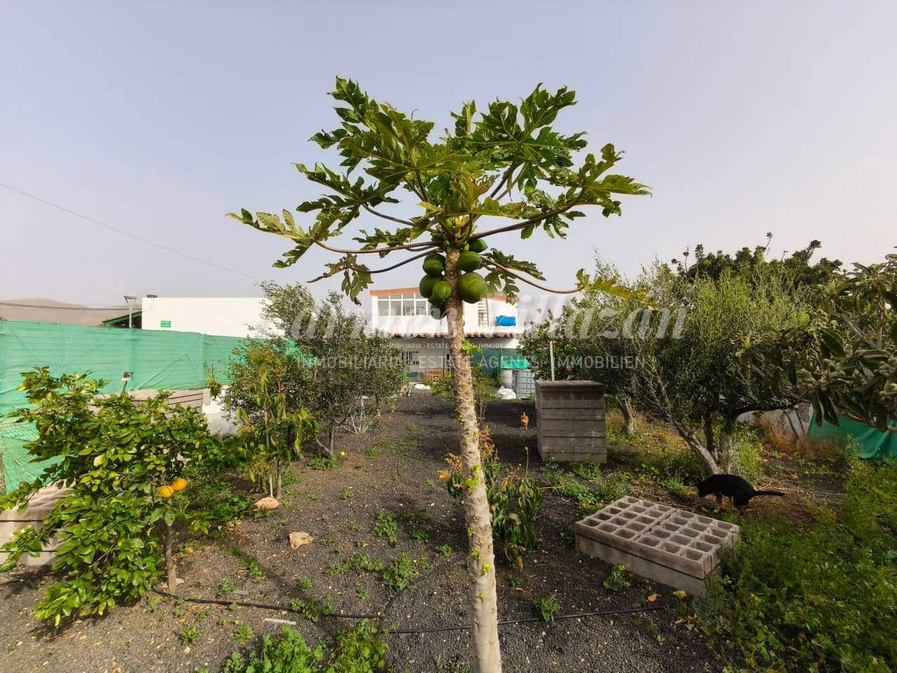 3 camera da letto Villa in vendita in Casillas de Morales con garage - 365.000 € (Rif: 9657886)