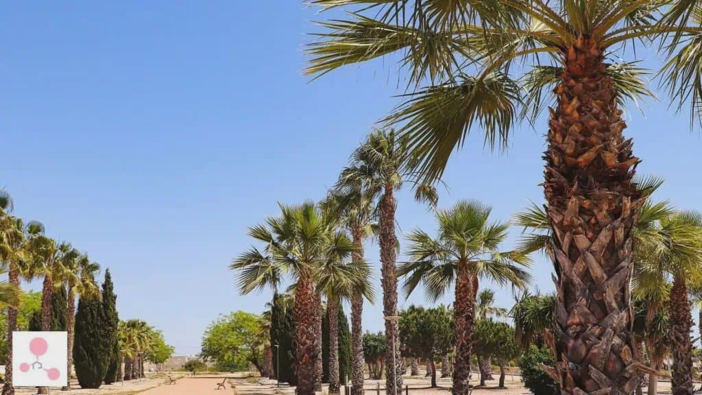 4 bedroom Villa for sale in San Fulgencio with pool garage - € 1,325,000 (Ref: 9371716)