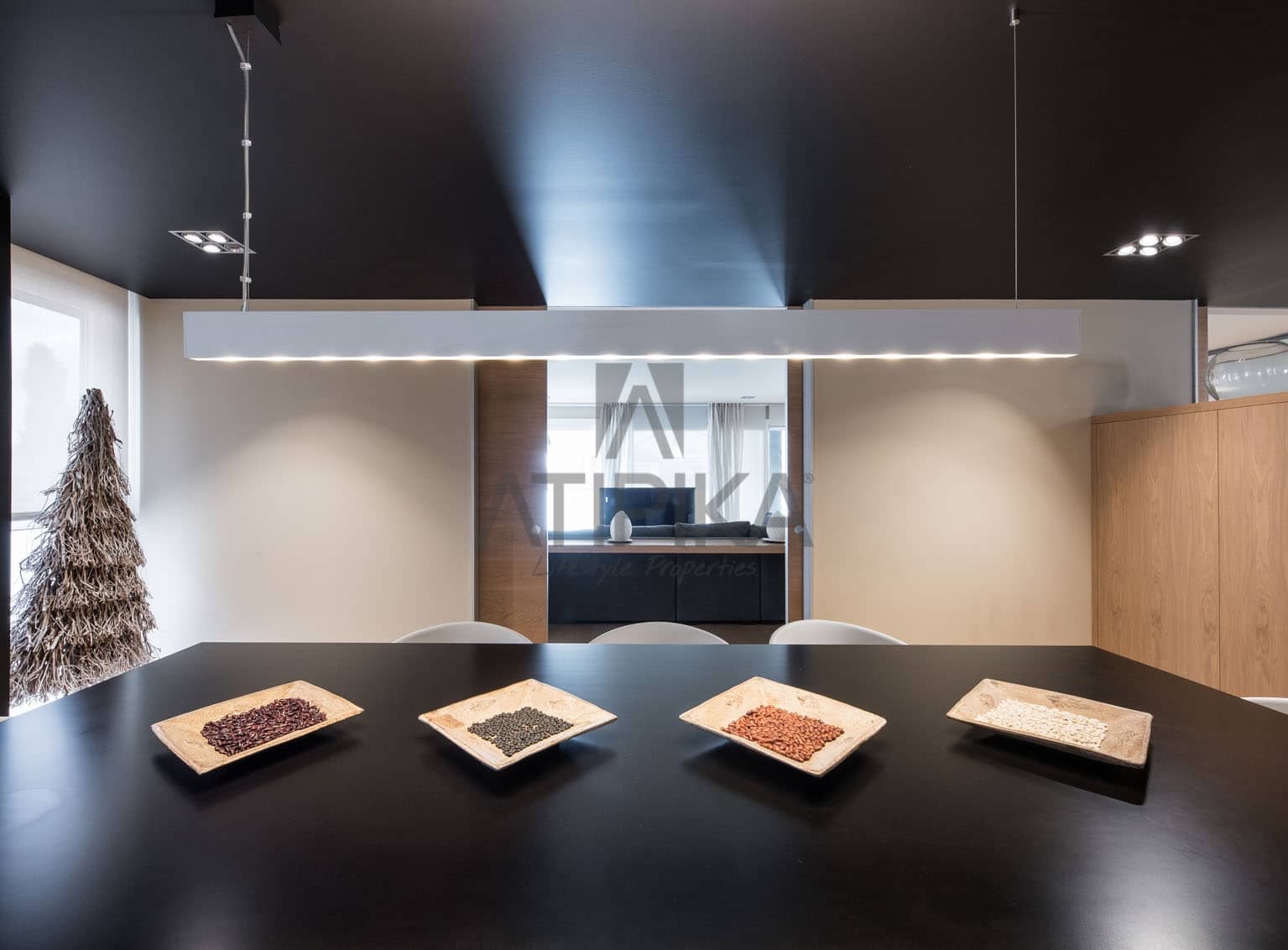 Ático de 5 habitaciones en Barcelona ciudad en venta con piscina - 4.500.000 € (Ref: 10108876)