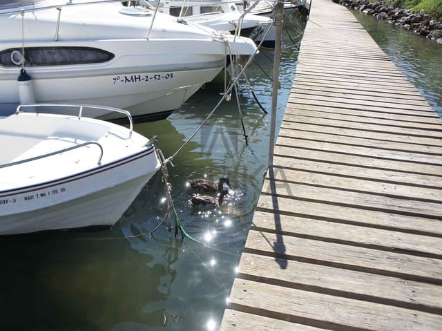 Undeveloped Land for sale in Coves Noves, Es Mercadal - € 417,000 (Ref: 7169448)