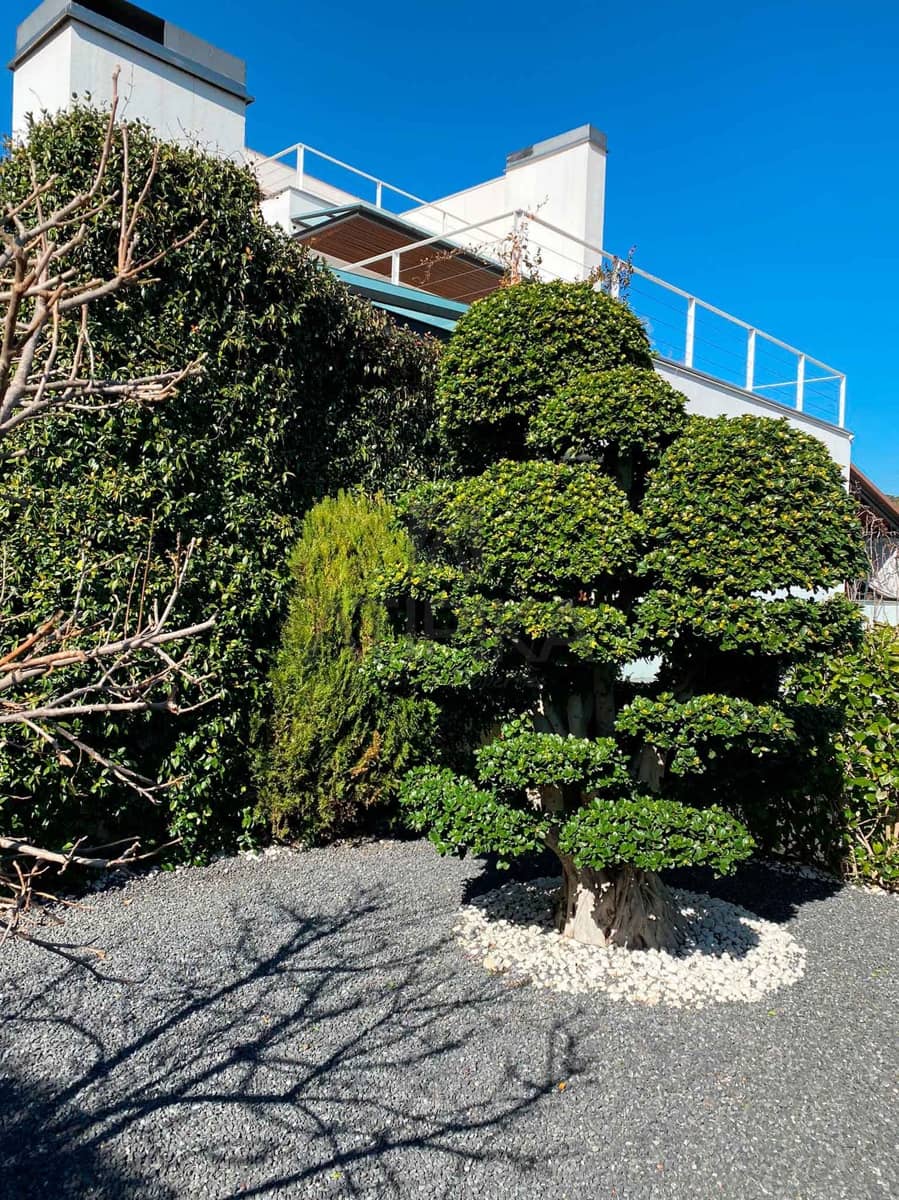 5 soveværelse Villa til salg i Premia de Dalt med swimmingpool - € 986.000 (Ref: 7423878)