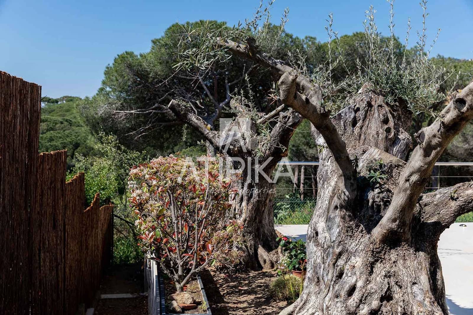 6 soveværelse Villa til leje i Platja d'Aro - € 9.900 (Ref: 8037957)