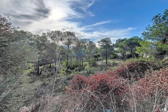 Undeveloped Land for sale in Sitges - € 900,000 (Ref: 8152020)