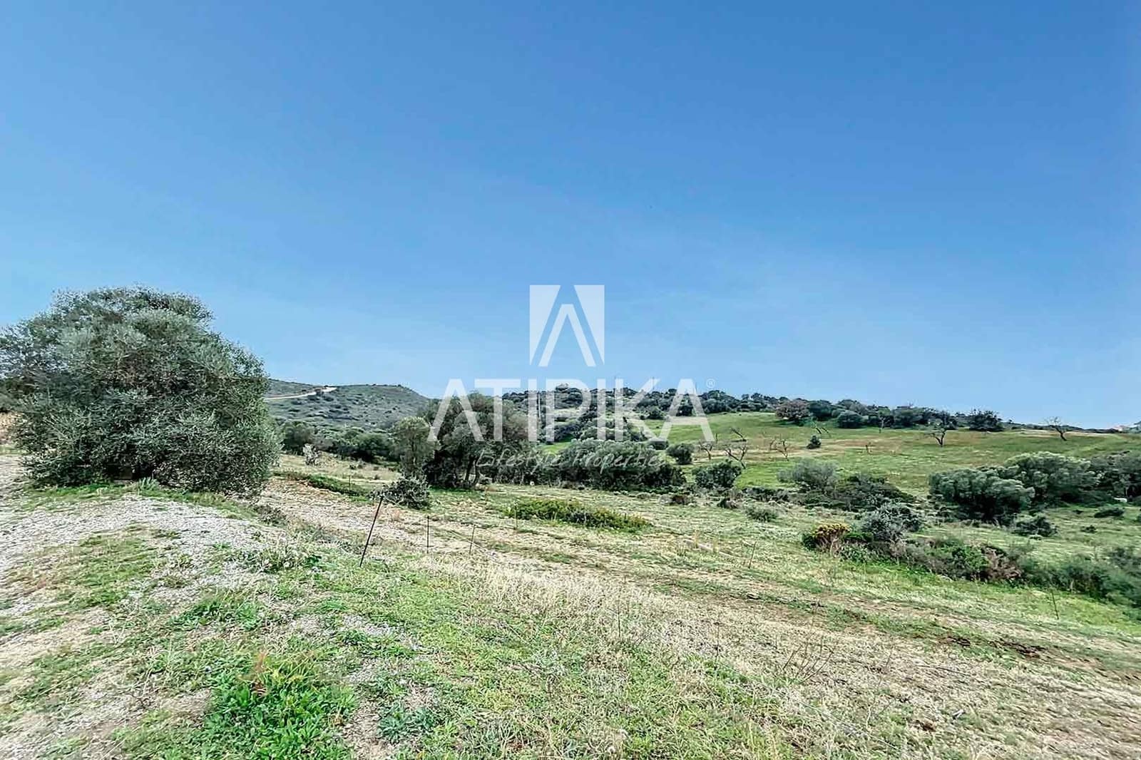 10 bedroom Apartment for sale in Roses - € 2,350,000 (Ref: 8864254)