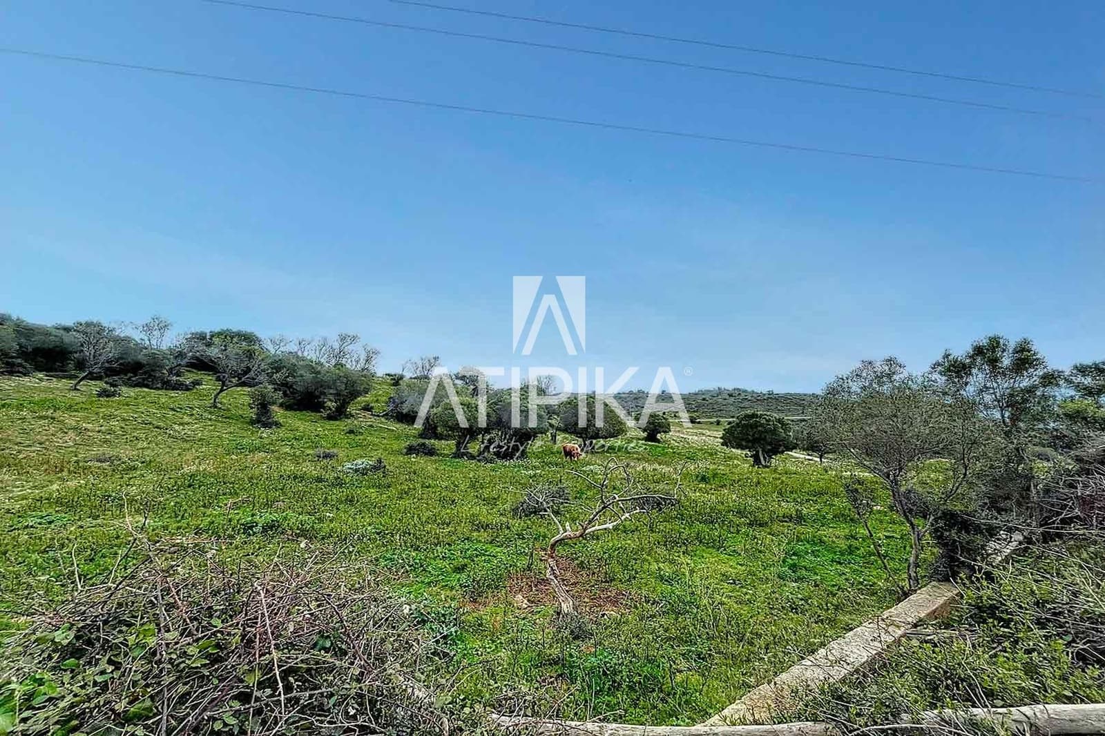 10 bedroom Apartment for sale in Roses - € 2,350,000 (Ref: 8864254)