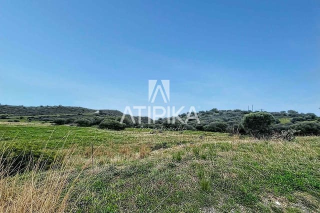 10 chambre Appartement à vendre à Roses - 2 350 000 € (Ref: 8864254)