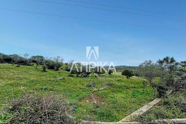 10 chambre Appartement à vendre à Roses - 2 350 000 € (Ref: 8864254)