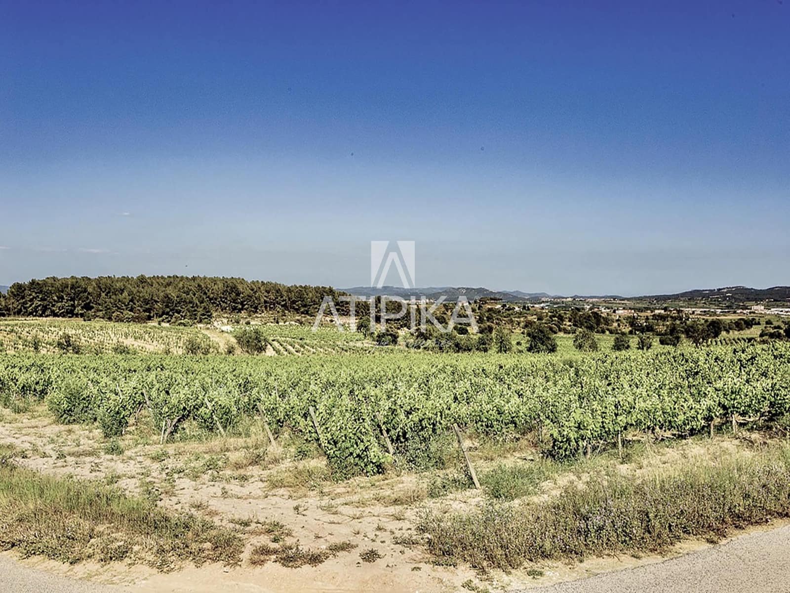 8 soveværelse Finca/Landehus til salg i Castellvi de la Marca med swimmingpool - € 995.000 (Ref: 9187970)