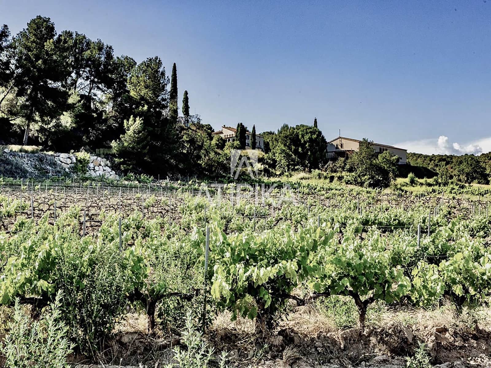 8 soveværelse Finca/Landehus til salg i Castellvi de la Marca med swimmingpool - € 995.000 (Ref: 9187970)