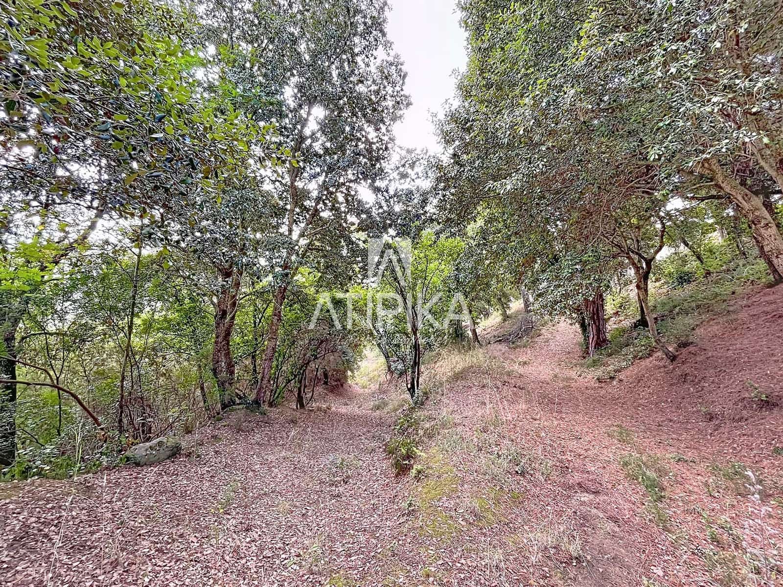 4 bedroom Villa for sale in Dosrius with pool - € 690,000 (Ref: 9235942)