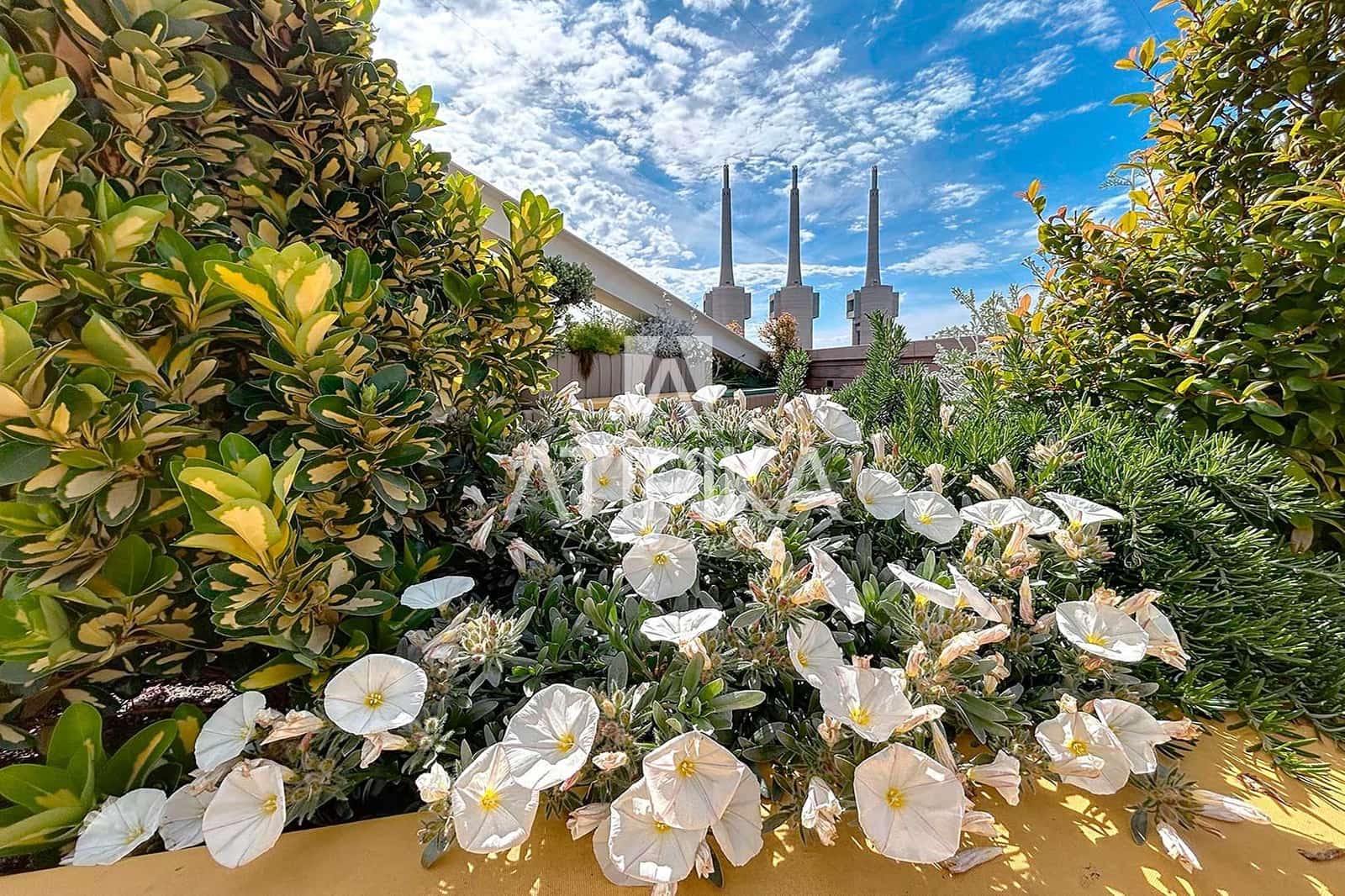 Toimisto vuokrattavana paikassa Badalona - 3 300 € (Ref: 9548709)