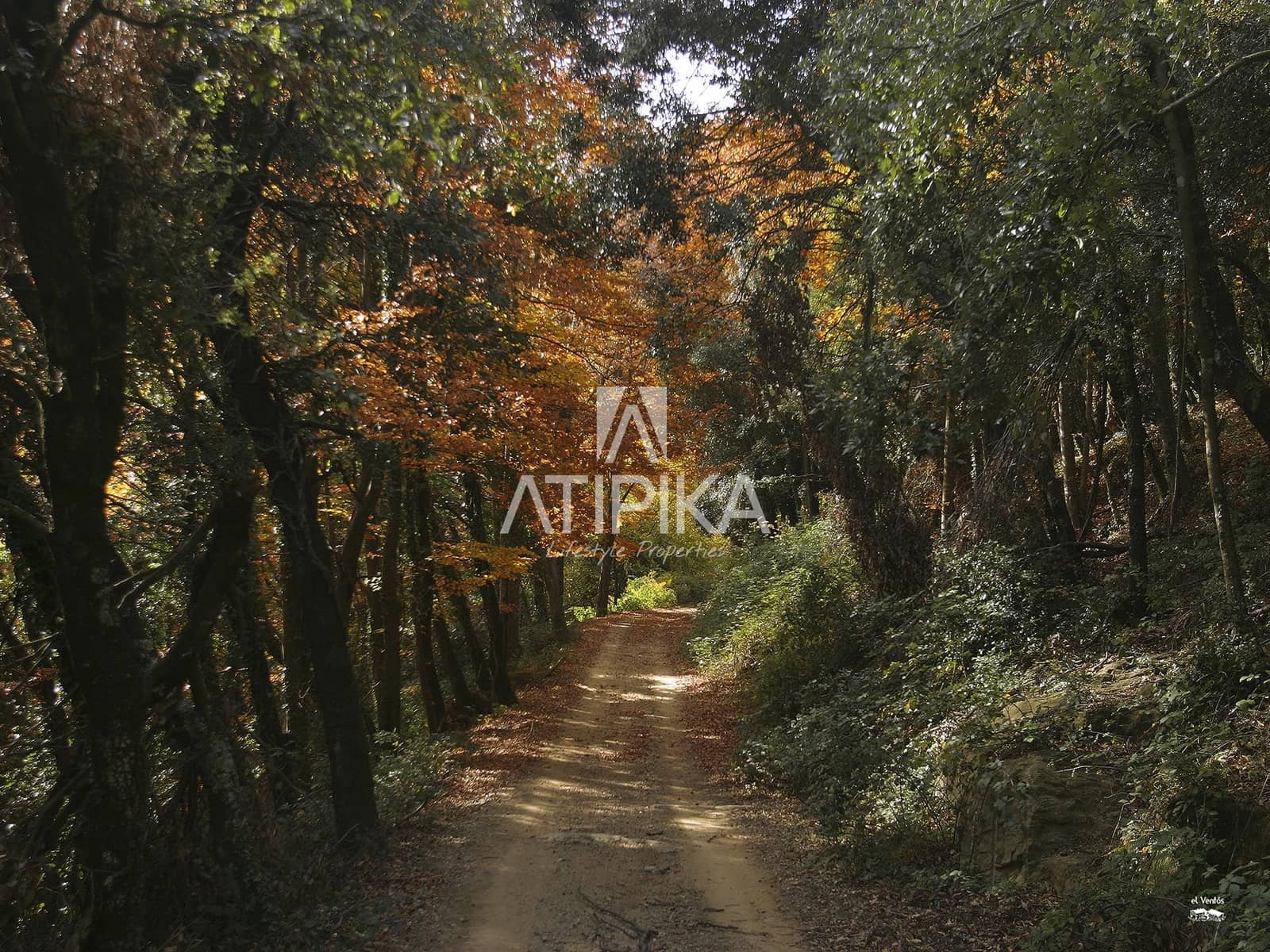 6 Zimmer Finca/Landgut zu verkaufen in Sant Feliu de Pallerols - 4.900.000 € (Ref: 9548788)