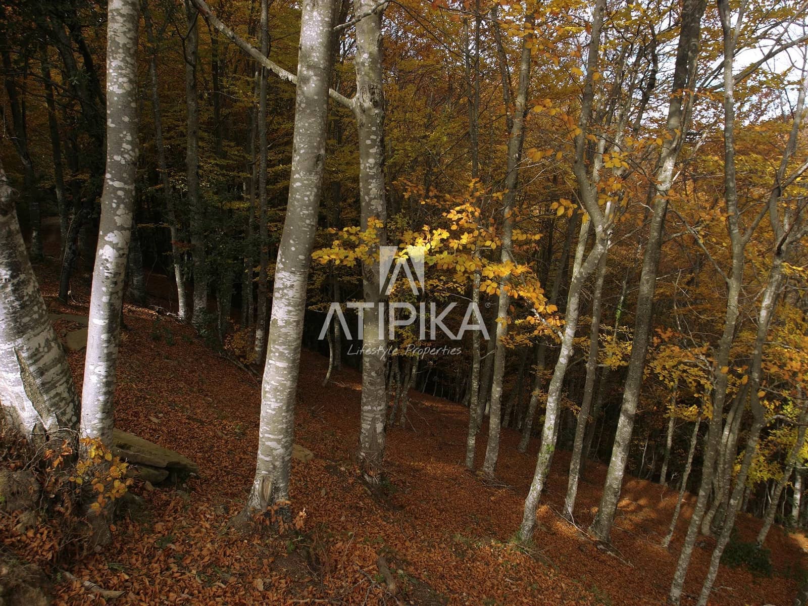 6 Zimmer Finca/Landgut zu verkaufen in Sant Feliu de Pallerols - 4.900.000 € (Ref: 9548788)