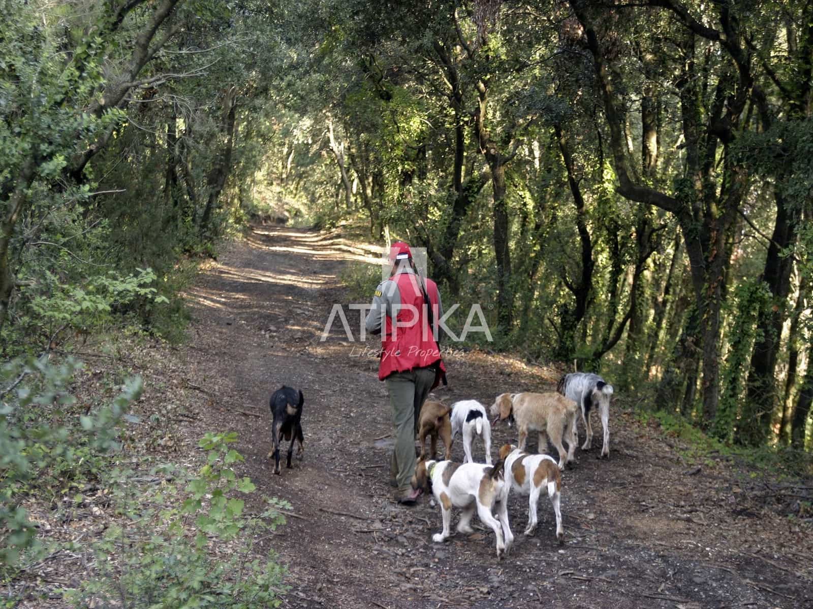 6 Zimmer Finca/Landgut zu verkaufen in Sant Feliu de Pallerols - 4.900.000 € (Ref: 9548788)