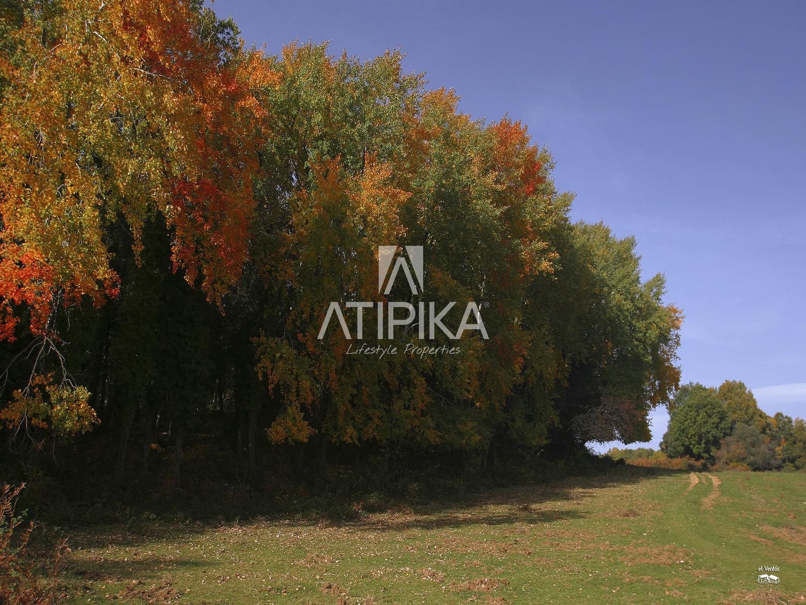 6 Zimmer Finca/Landgut zu verkaufen in Sant Feliu de Pallerols - 4.900.000 € (Ref: 9548788)