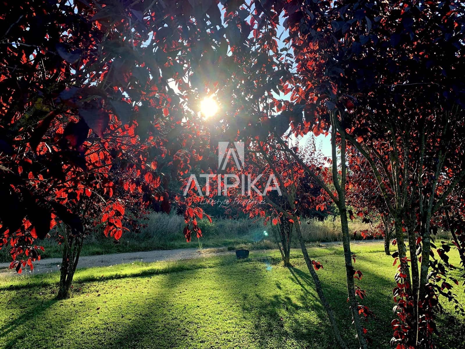 6 Zimmer Finca/Landgut zu verkaufen in Sant Feliu de Pallerols - 4.900.000 € (Ref: 9548788)