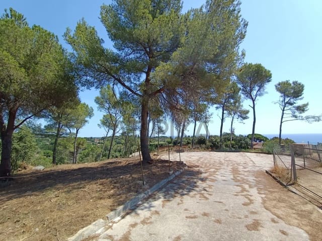 4 makuuhuone Huvila myytävänä paikassa Sant Andreu de Llavaneres mukana uima-altaan - 1 850 000 € (Ref: 9941344)