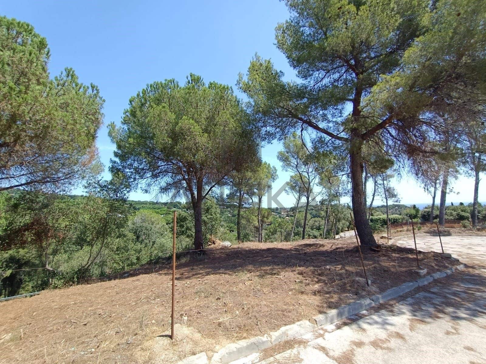 4 makuuhuone Huvila myytävänä paikassa Sant Andreu de Llavaneres mukana uima-altaan - 1 850 000 € (Ref: 9941344)