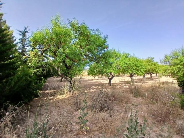 1 camera da letto Commerciale in vendita in Horta de Sant Joan - 50.000 € (Rif: 10011596)