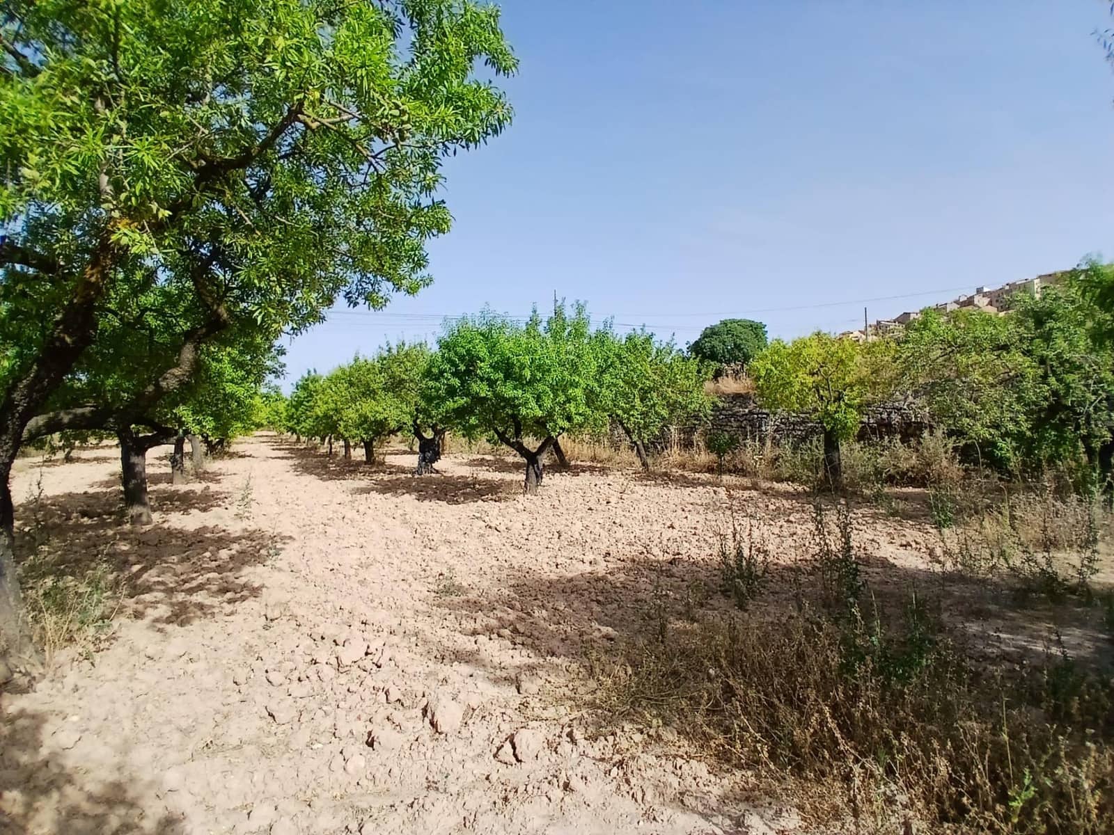 1 camera da letto Commerciale in vendita in Horta de Sant Joan - 50.000 € (Rif: 10011596)