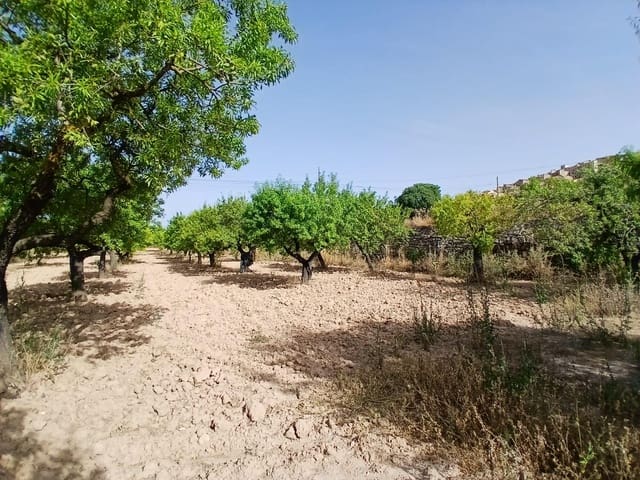 1 camera da letto Commerciale in vendita in Horta de Sant Joan - 50.000 € (Rif: 10011596)