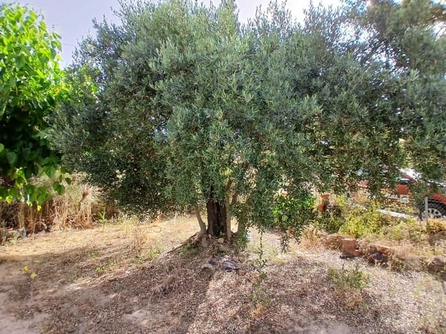 1 camera da letto Commerciale in vendita in Horta de Sant Joan - 50.000 € (Rif: 10011596)