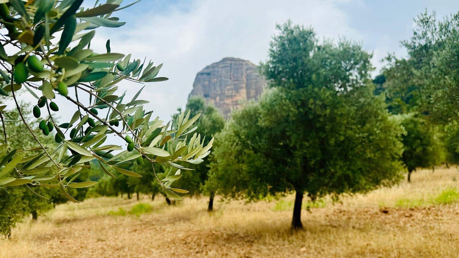 2 soveværelse Finca/Landehus til salg i Horta de Sant Joan - € 380.000 (Ref: 10011597)