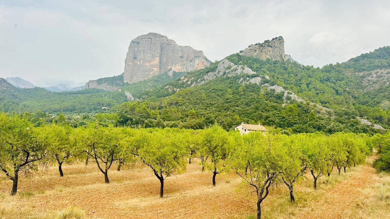 2 soveværelse Finca/Landehus til salg i Horta de Sant Joan - € 380.000 (Ref: 10011597)