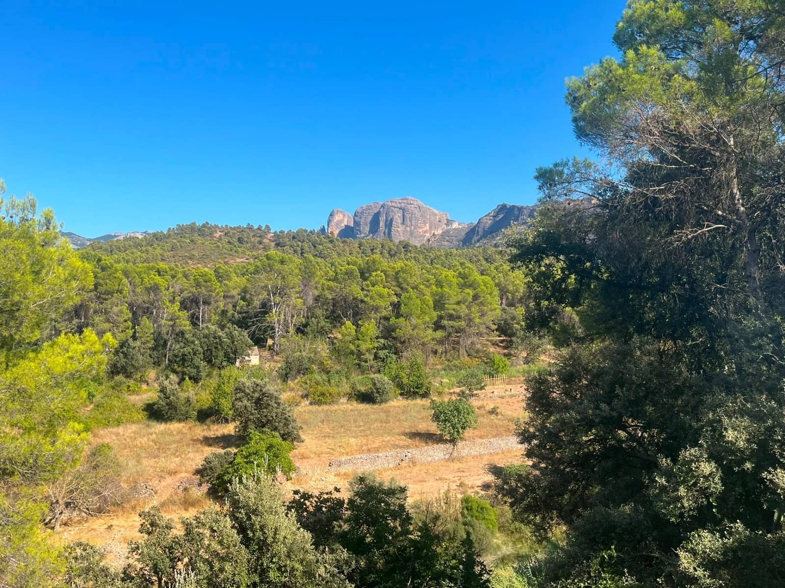 1 bedroom Finca/Country House for sale in Arnes - € 120,000 (Ref: 10045015)