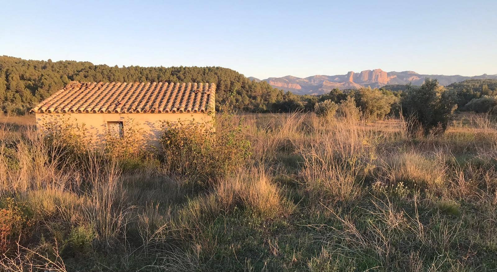 1 bedroom Finca/Country House for sale in Lledo - € 79,000 (Ref: 10059326)
