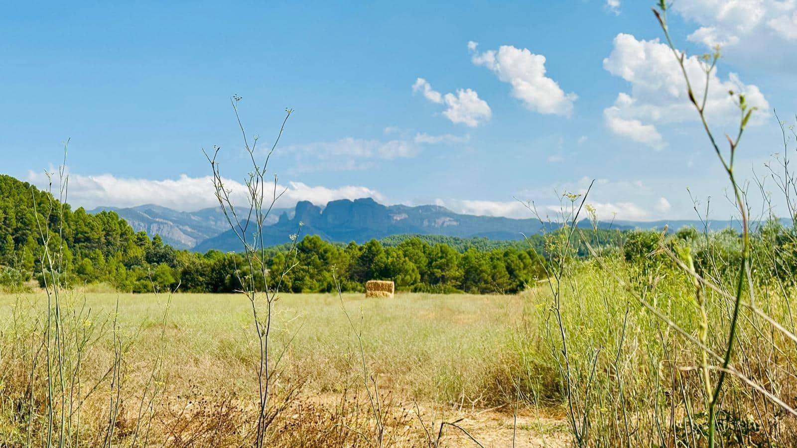 1 bedroom Finca/Country House for sale in Lledo - € 79,000 (Ref: 10059326)