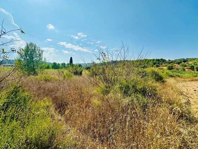 1 sypialnia Finka/Dom wiejski na sprzedaż w Lledó - 79 000 € (Ref: 10059326)