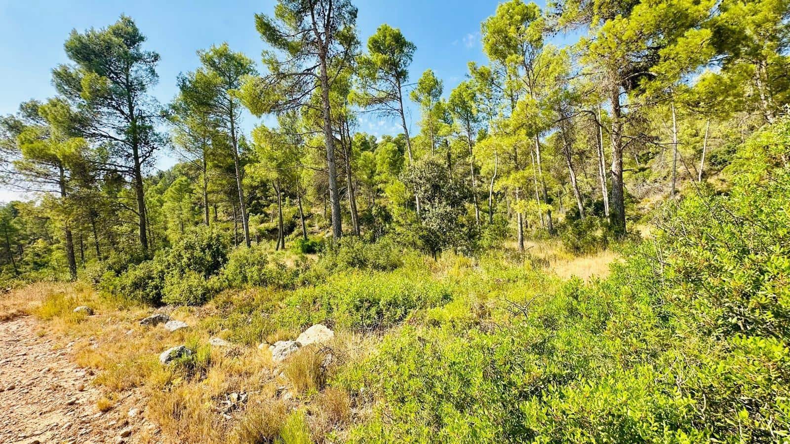 1 bedroom Finca/Country House for sale in Lledo - € 79,000 (Ref: 10059326)