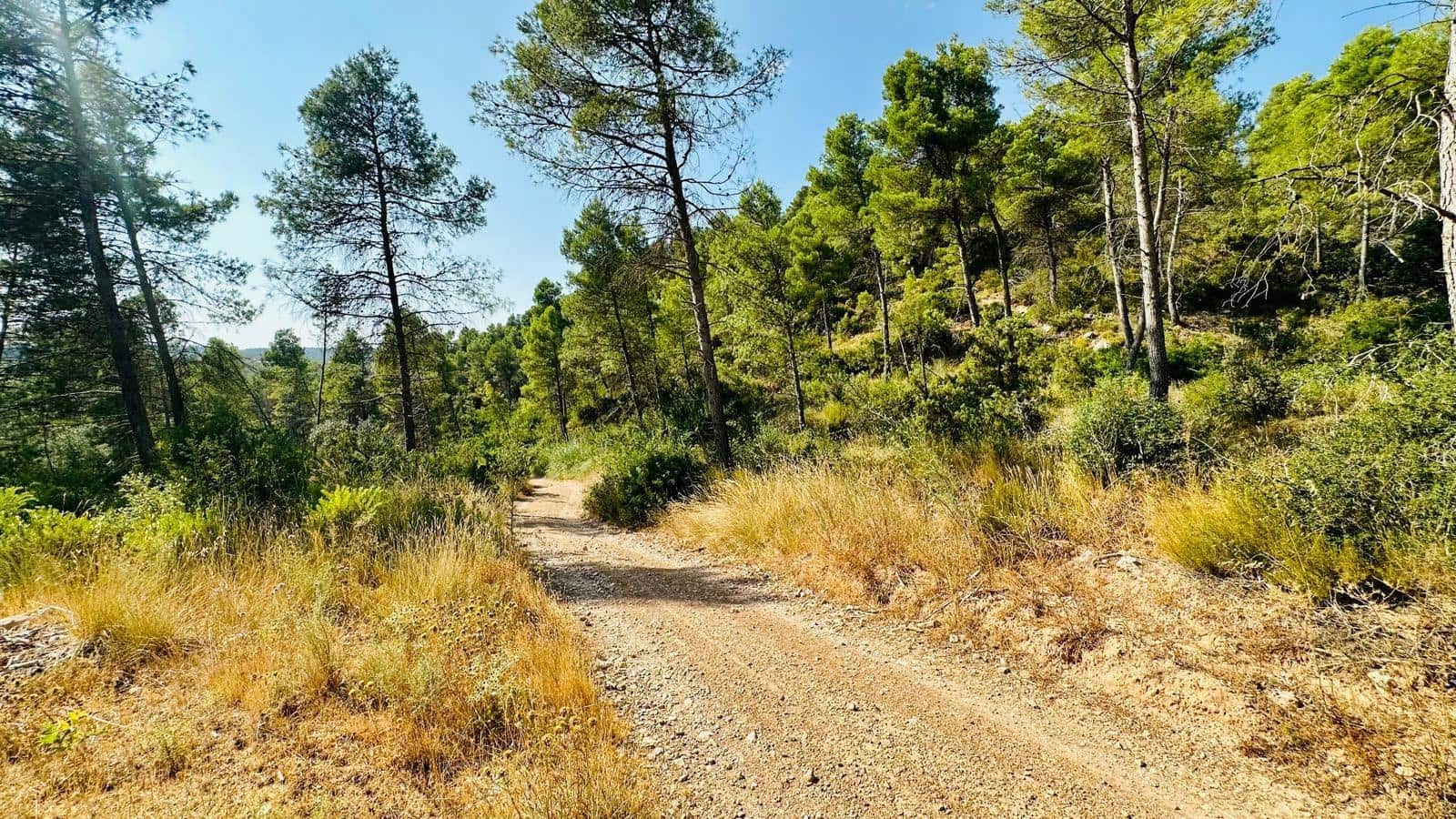 1 bedroom Finca/Country House for sale in Lledo - € 79,000 (Ref: 10059326)