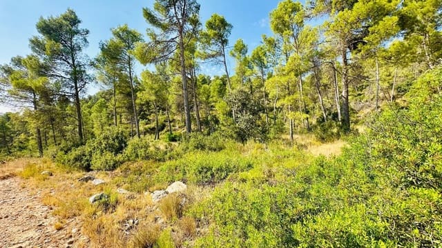 1 sypialnia Finka/Dom wiejski na sprzedaż w Lledó - 79 000 € (Ref: 10059326)