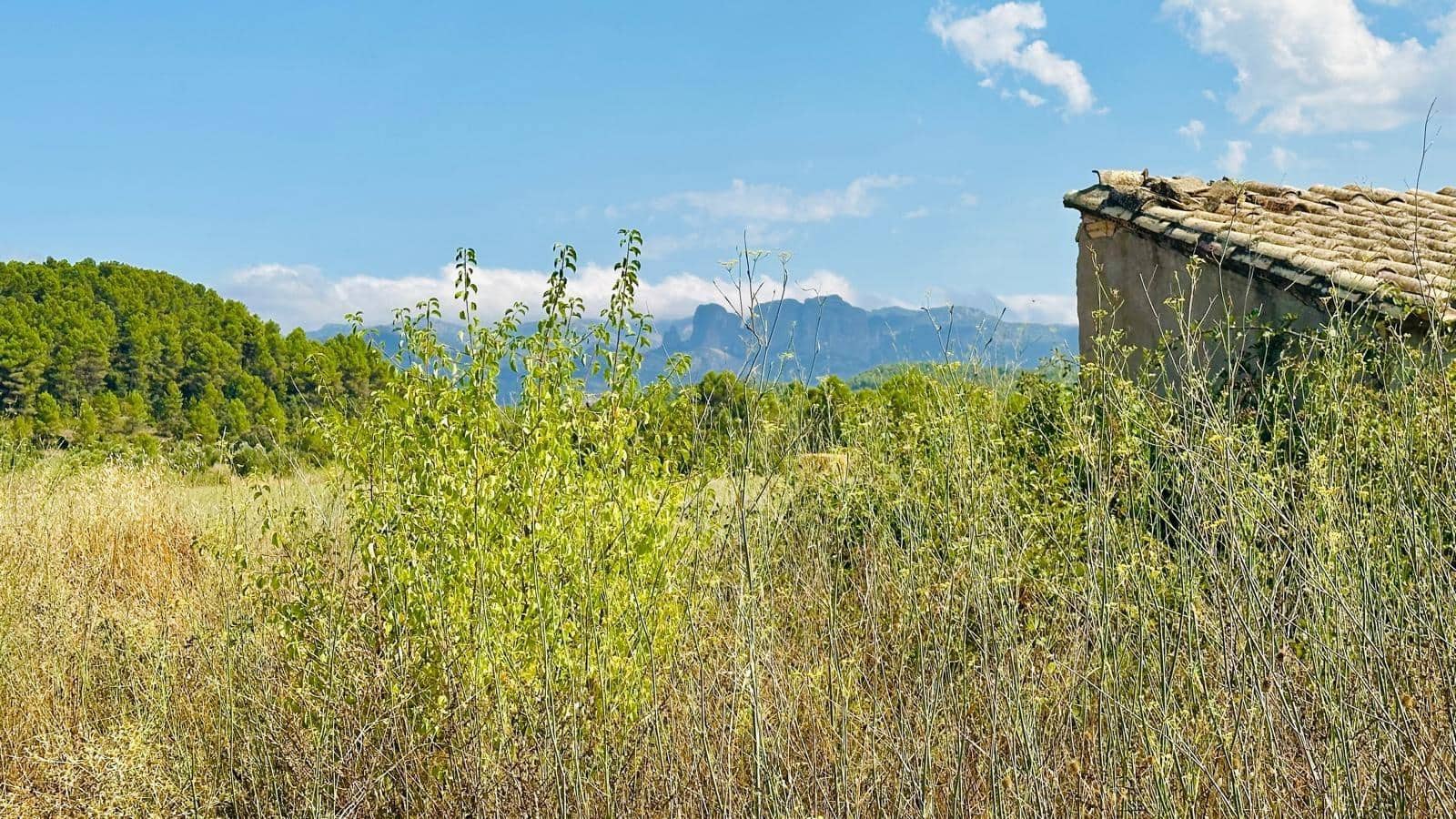 1 bedroom Finca/Country House for sale in Lledo - € 79,000 (Ref: 10059326)