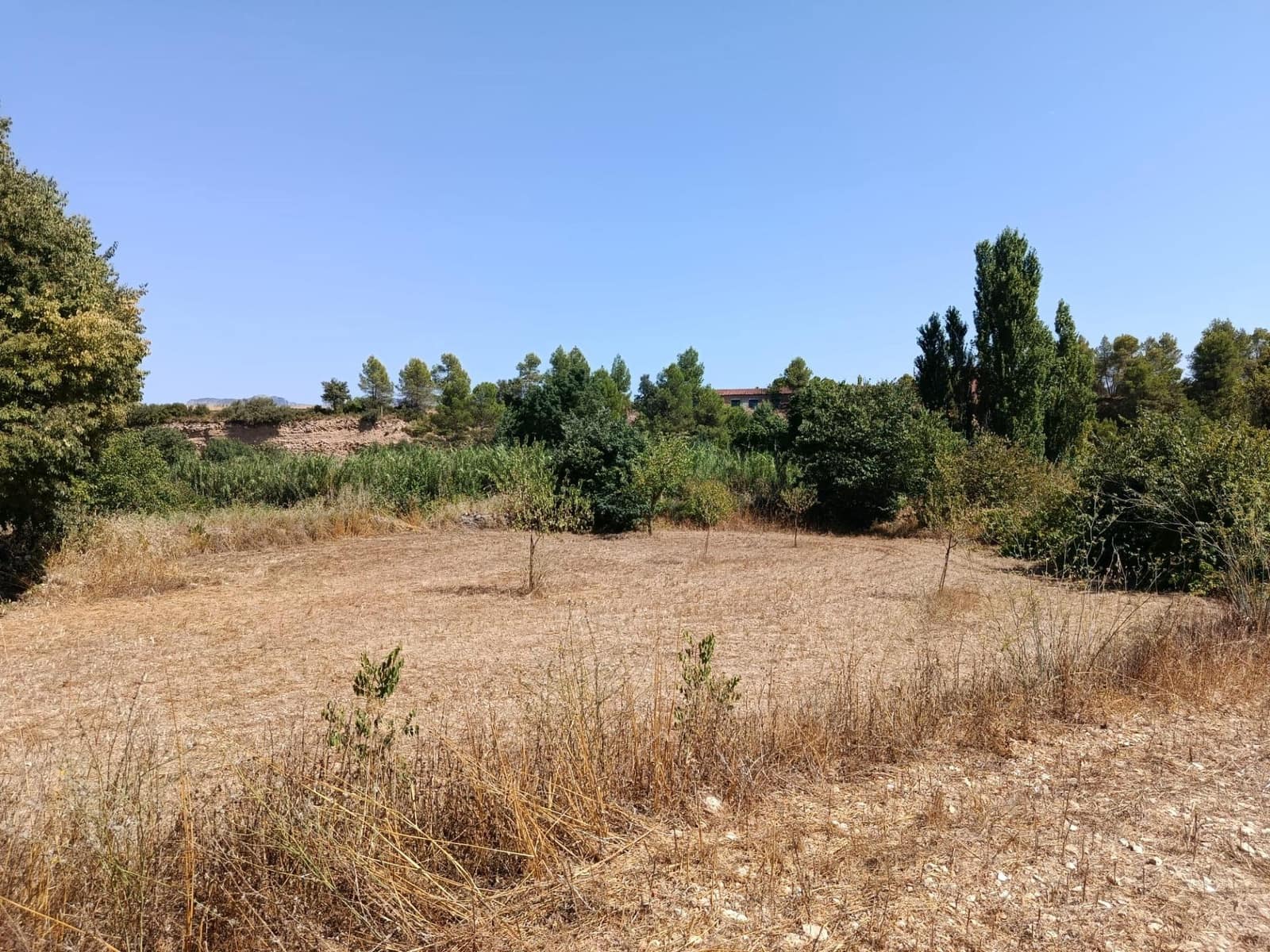 Finca/Casa Rural de 1 habitación en Lledó en venta - 40.000 € (Ref: 10062178)