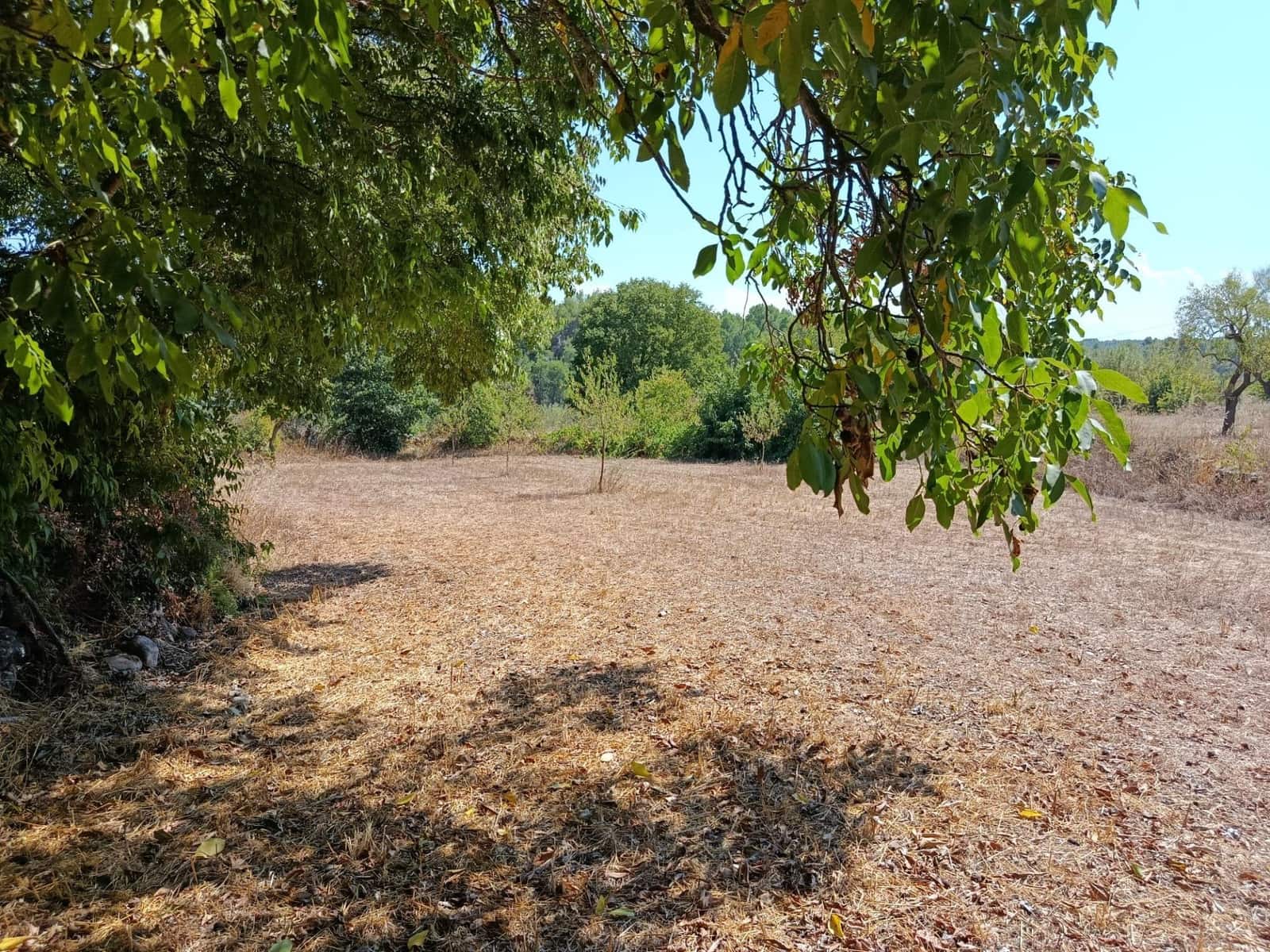 Finca/Casa Rural de 1 habitación en Lledó en venta - 40.000 € (Ref: 10062178)