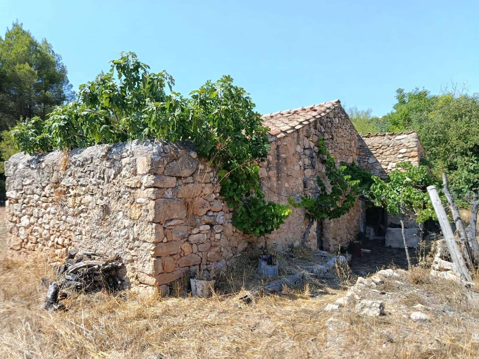 Finca/Casa Rural de 1 habitación en Lledó en venta - 40.000 € (Ref: 10062178)