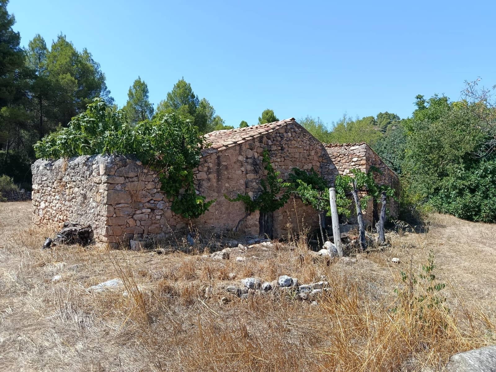 Finca/Casa Rural de 1 habitación en Lledó en venta - 40.000 € (Ref: 10062178)