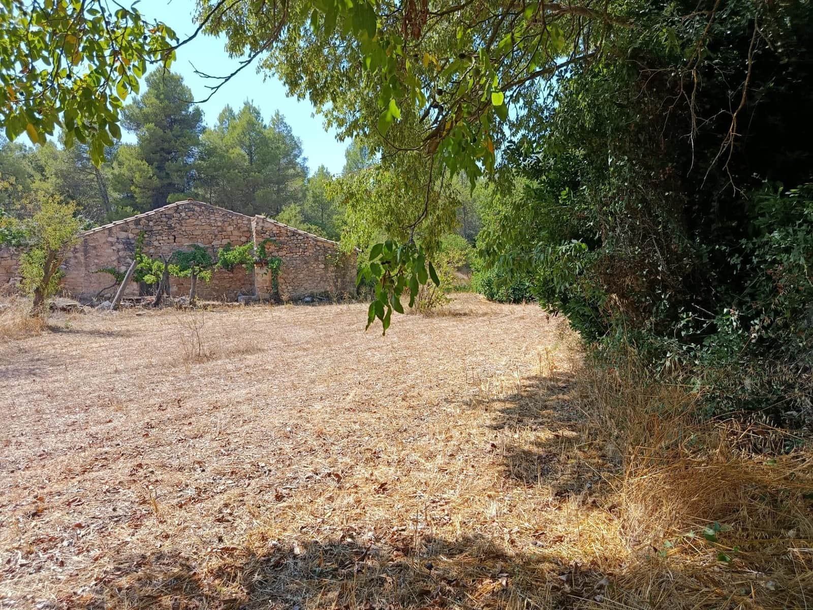 Finca/Casa Rural de 1 habitación en Lledó en venta - 40.000 € (Ref: 10062178)
