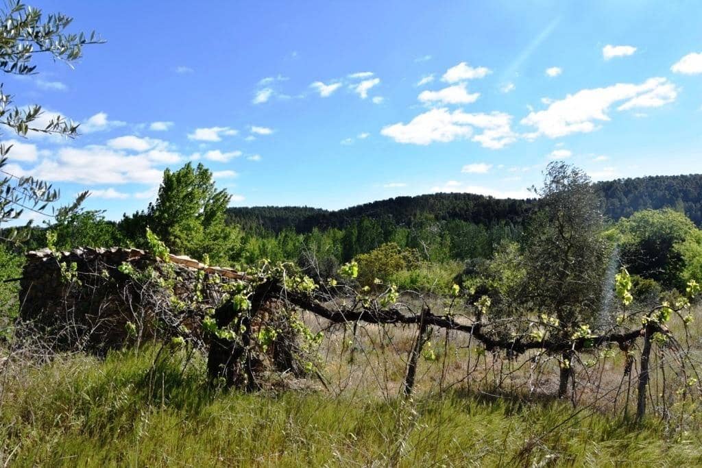 1 bedroom Finca/Country House for sale in La Fresneda - € 14,000 (Ref: 10094892)